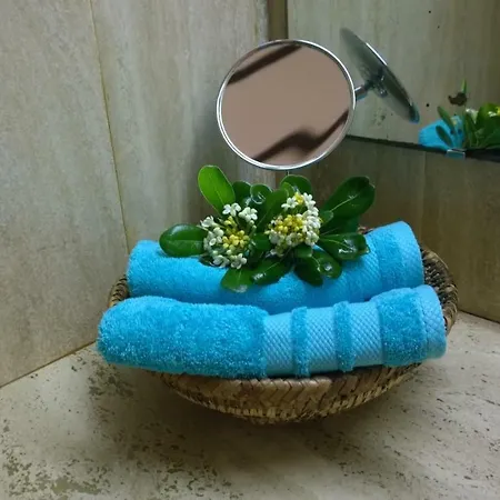 Oda ve Kahvaltı B&B Helichrysum