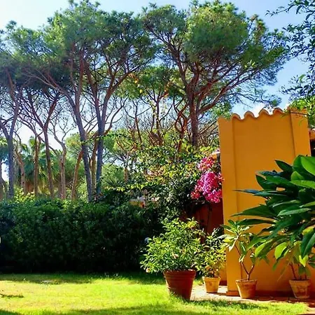 B&B Helichrysum Oda ve Kahvaltı *